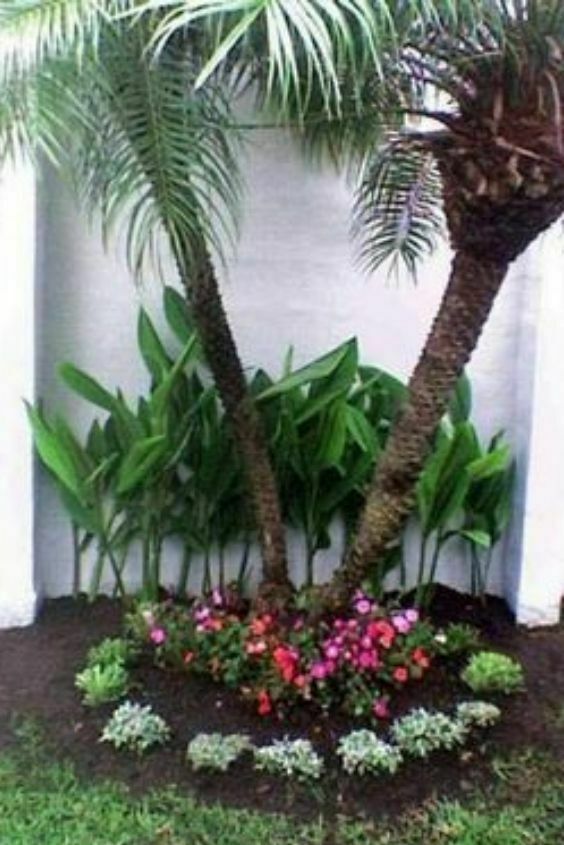 jardins-com-palmeiras