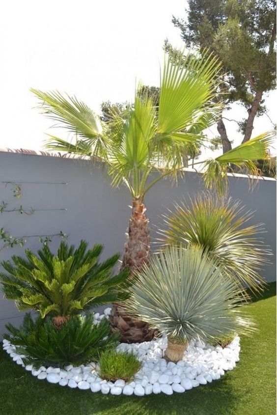 jardins-com-palmeiras